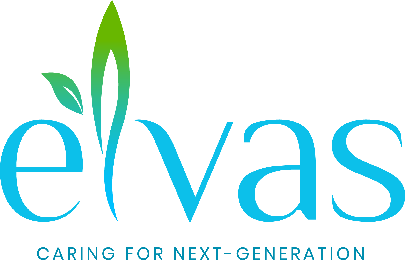 elvas logo 1
